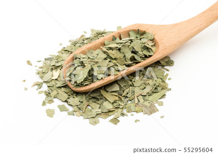 印楝葉，印楝葉：印楝葉 55295604