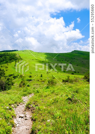 Landscape of Kuramayama Kogen (Summer): Look at the ear of the north and the ear of the south from Mt. Zebra (man and woman Kurayama) Landscape of Kuramayama Kogen (Summer): Look at the ear of the north and the ear of the south from Mt. Zebra (man and woman Kurayama) 55295660