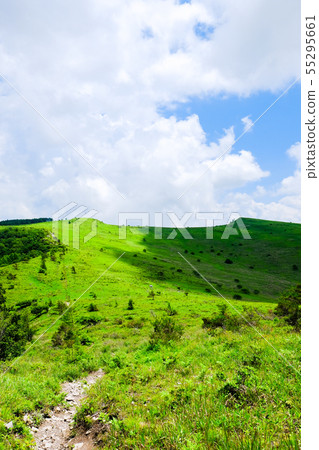 Landscape of Kuramayama Kogen (Summer): Look at the ear of the north and the ear of the south from Mt. Zebra (man and woman Kurayama) Landscape of Kuramayama Kogen (Summer): Look at the ear of the north and the ear of the south from Mt. Zebra (man and woman Kurayama) 55295661