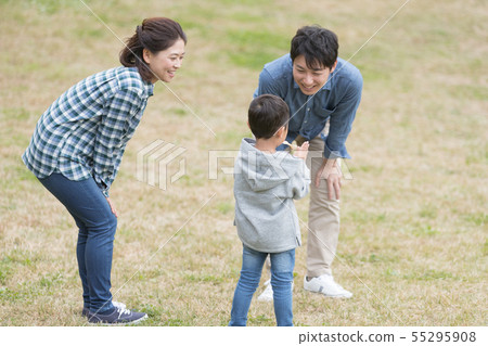 bamboo dragonfly, taketombo, families 55295908