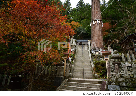 From Yuki Shrine From Yuki Shrine 55296007