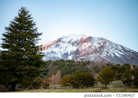 山 山 55296407