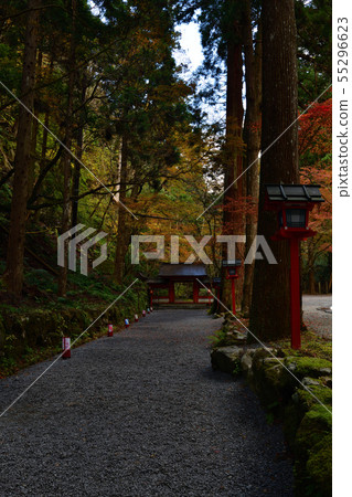 From Kifune Shrine 55296623