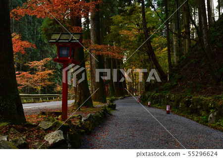 From Kifune Shrine 55296624