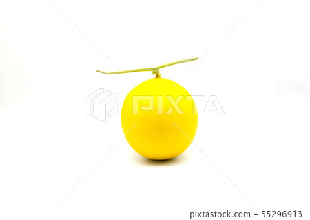 isolated round yellow cantabloupe 55296913