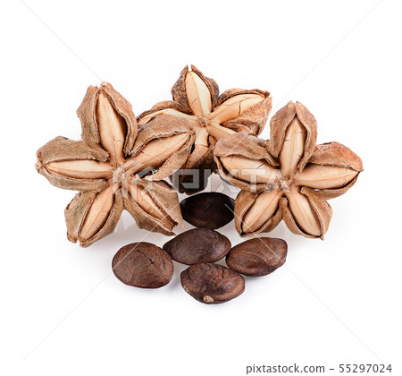 sacha inchi peanut seed on white background sacha inchi peanut seed on white background 55297024