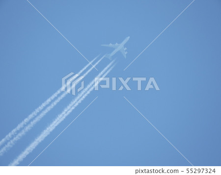 Hikokumo (Ono City, Fukui Prefecture, May 2019) Hikokumo (Ono City, Fukui Prefecture, May 2019) 55297324