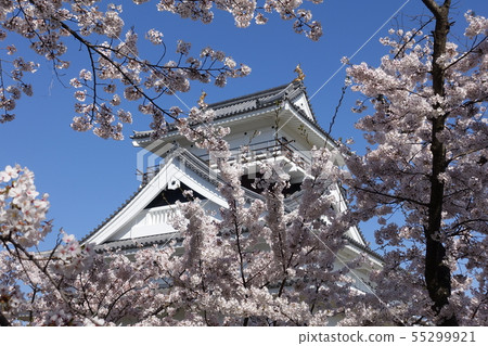 Kamiyama Castle of Sakura 55299921