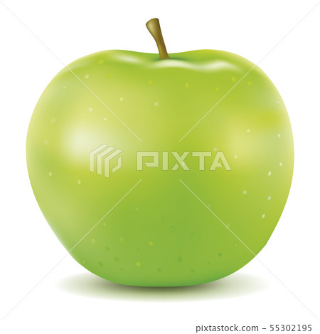 realistic green apple isolated on white 55302195