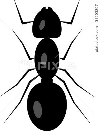 An ant 55303207