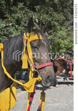 Decorative horse 55303255