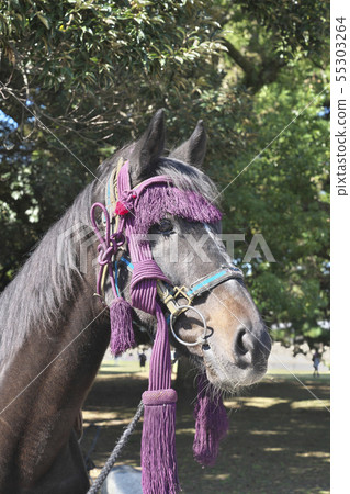 Decorative horse 55303264