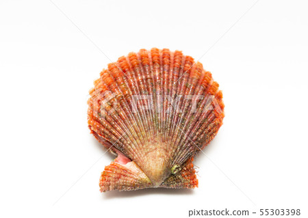 Giant crab 55303398