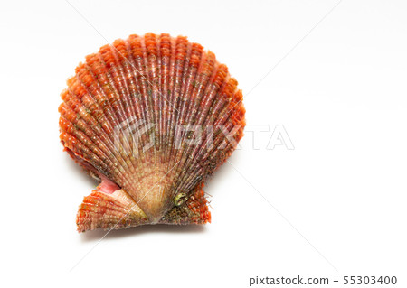 Giant crab Giant crab 55303400