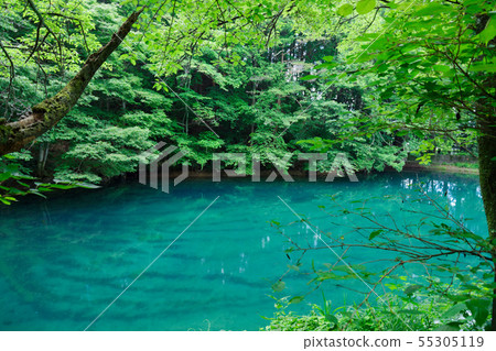 Hiraide的噴泉和新鮮的綠色 Hiraide的噴泉和新鮮的綠色 55305119