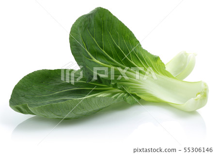 Bok Choy or Chinese cabbage isolated Bok Choy or Chinese cabbage isolated 55306146