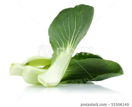 Bok Choy or Chinese cabbage isolated Bok Choy or Chinese cabbage isolated 55306149