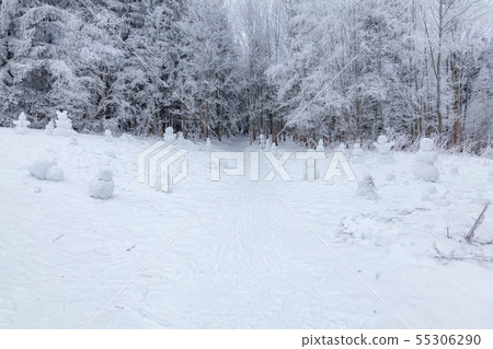 Winter scene in a rest zone near a forest. Benches 55306290