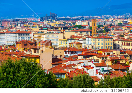 Aerial view of Florence, Italy and Boboli gardens 55306723
