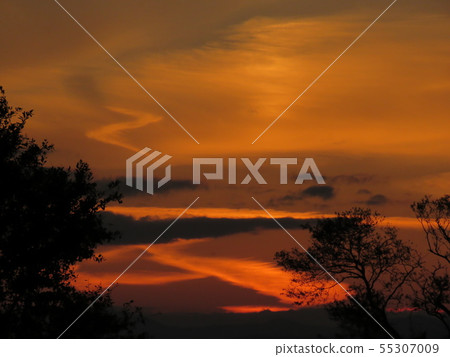 紅色的夕陽 55307009