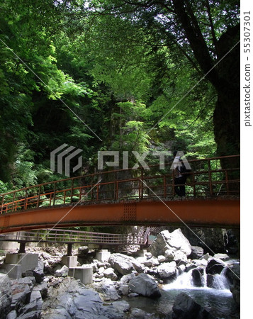 緊谷瀧見橋 55307301