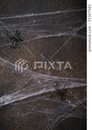Halloween background with spider web Halloween background with spider web 55307482