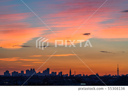 “東京”東京黎明·新的一天 55308136