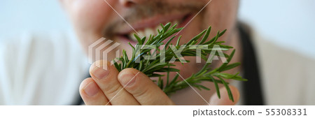 Smiling Chef Holding Green Rosemary Herb Bunch Smiling Chef Holding Green Rosemary Herb Bunch 55308331
