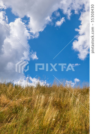 Meadow Grass And Sky With Clouds Background 55308430