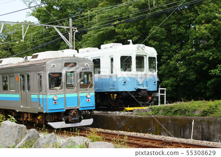 Izukyu Train 55308629