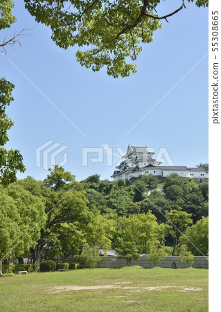 和歌山城堡在初夏 55308665