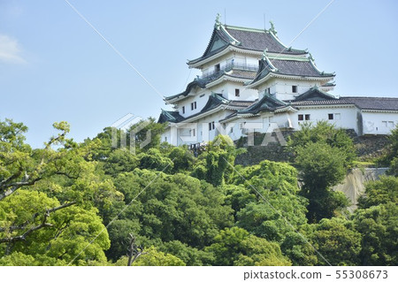 和歌山城堡在初夏 55308673