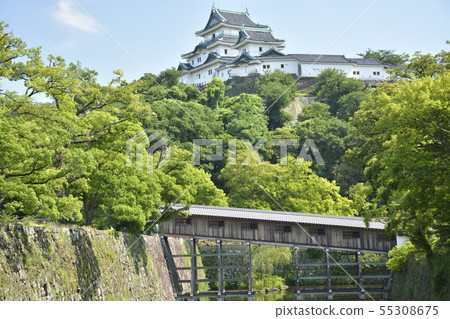 和歌山城堡在初夏 55308675