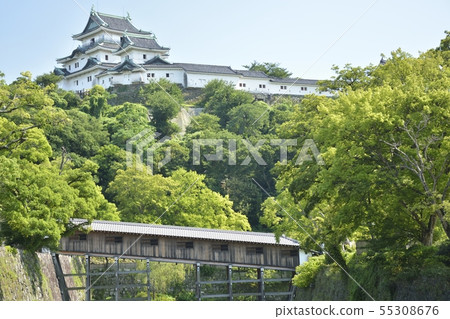 Wakayama castle in early summer 55308676