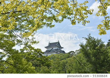 Wakayama castle in early summer Wakayama castle in early summer 55308684
