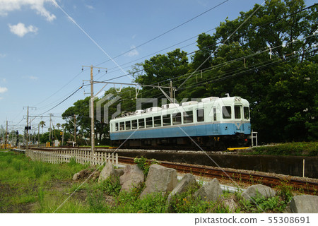 Izukyu (100 series) train Izukyu (100 series) train 55308691