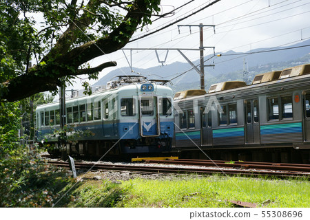 伊豆急(100系列)火車 伊豆急(100系列)火車 55308696