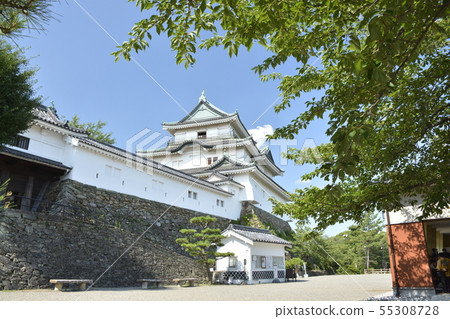 和歌山城堡在初夏 55308728