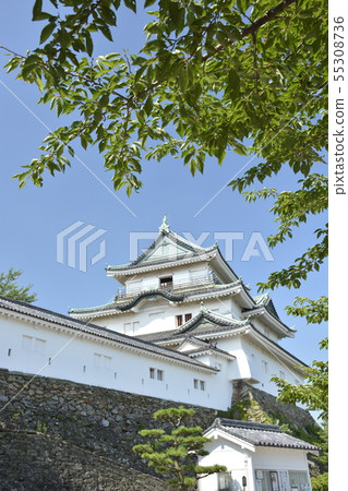 和歌山城堡在初夏 55308736