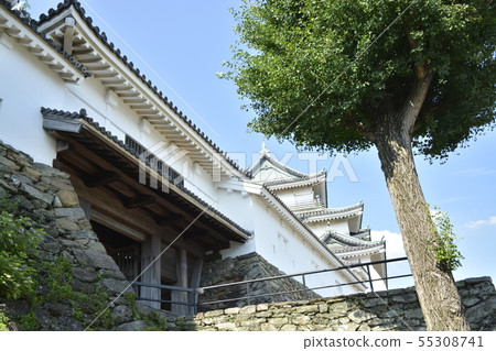 Wakayama castle in early summer 55308741