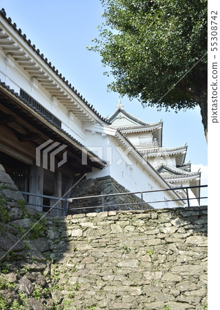 和歌山城堡在初夏 55308742