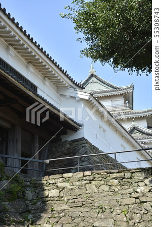 和歌山城堡在初夏 和歌山城堡在初夏 55308743