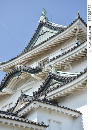 和歌山城堡在初夏 55308753