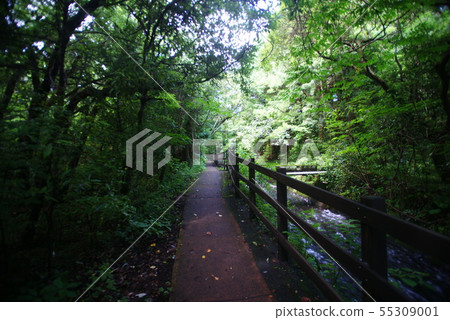 Jogasaki Coast Bridge Walkway 55309001