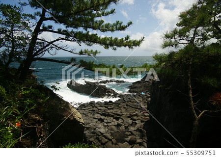 Jogasaki Coast Daisuke / Kojima 55309751