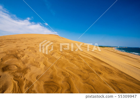 鳥取沙丘Windprint藍天 鳥取沙丘Windprint藍天 55309947