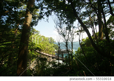 Jojigasaki coast Hashidate suspension bridge 55310018