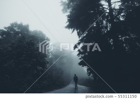 In the mist and rain forest, darkness 55311150