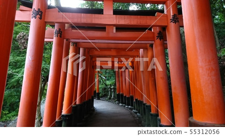 Fushimi-Inari Taisha  55312056