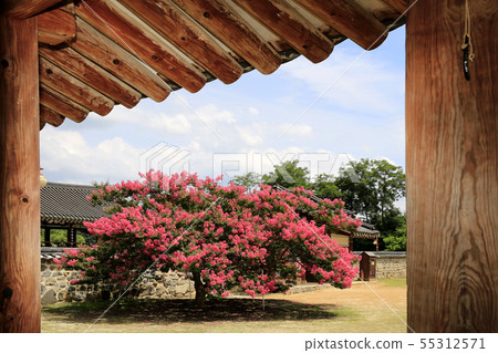 UNESCO World Heritage Site, Donam Seowon 55312571